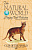 картинка Карты "Cats of the Natural World Playing Cards" от магазина GamesDealer.ru