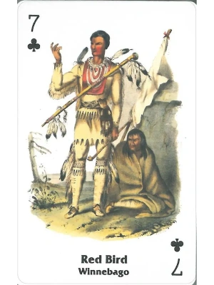 картинка Карты "Native American Playing Cards" от магазина Gamesdealer.ru