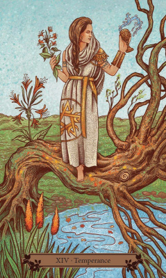 картинка Карты Таро "Hedgewitch Tarot" Llewellyn / Таро Природная Ведьма от магазина Gamesdealer.ru