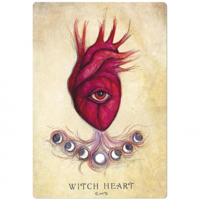 картинка Карты Таро "Anatomy of a Witch Oracle Cards" Llewellyn / Оракул Анатомия Ведьмы от магазина Gamesdealer.ru