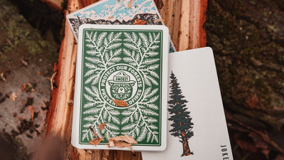 картинка Карты "Art Of Play Smokey Bear" от магазина Gamesdealer.ru