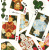 картинка Карты "Bicycle Wizard of OZ Playing Cards" магазин Gamesdealer.ru являющийся официальным дистрибьютором в России картинка Карты "Bicycle Wizard of OZ Playing Cards" от магазина Gamesdealer.ru