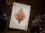 картинка Карты "Theory11 Sembras Playing Cards" магазин Gamesdealer.ru являющийся официальным дистрибьютором в России картинка Карты "Theory11 Sembras Playing Cards" от магазина Gamesdealer.ru