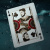 картинка Карты "Theory11 Black Panther Playing Cards" магазин Gamesdealer.ru являющийся официальным дистрибьютором в России картинка Карты "Theory11 Black Panther Playing Cards" от магазина Gamesdealer.ru