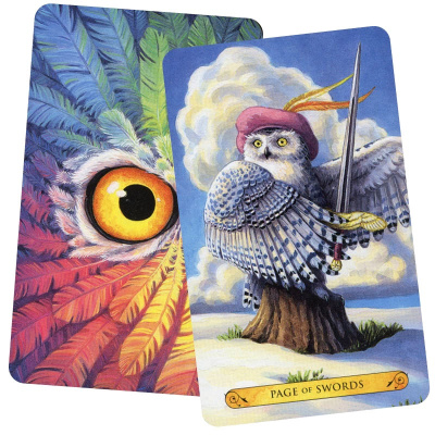 картинка Карты Таро "Tarot of the Owl" Llewellyn / Таро Совы от магазина Gamesdealer.ru