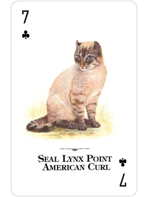 картинка Карты "Cats of the Natural World Playing Cards" от магазина Gamesdealer.ru