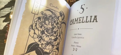 картинка Магический ботанический журнал / The Magical Botanical - Journal от магазина Gamesdealer.ru