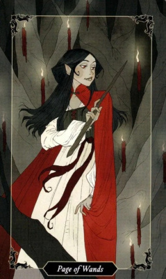 картинка Карты Таро "Dark Wood Tarot" Reprint / Таро Темного Леса TAROMANIA от магазина Gamesdealer.ru