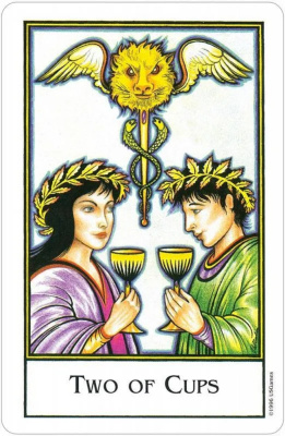 картинка Карты Таро "New Palladini Tarot" US Games / Новое Таро Палладини от магазина Gamesdealer.ru