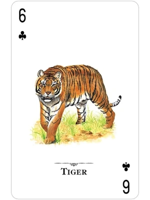 картинка Карты "Endangered Species of the Natural World Playing Cards" от магазина Gamesdealer.ru