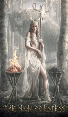 картинка Карты Таро "Runic Tarot Kit" Lo Scarabeo / Таро Руны + Книга от магазина Gamesdealer.ru