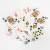 картинка Карты "Fournier 818 Casino Europe", зеленая рубашка от магазина Gamesdealer.ru