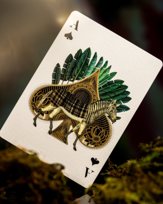 картинка Карты "Theory 11 Moooi Extinct Animals - Limited Edition" от магазина Gamesdealer.ru