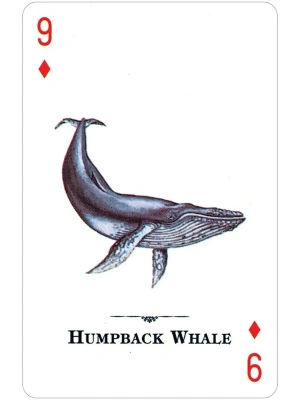 картинка Карты "Endangered Species of the Natural World Playing Cards" от магазина Gamesdealer.ru