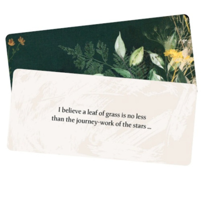 картинка Карты Таро "Leaves of Wisdom cards" Blue Angel / Листья карт мудрости от магазина Gamesdealer.ru