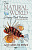 картинка Карты "Aquarium of the Natural World Playing Cards" от магазина GamesDealer.ru