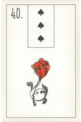 картинка Карты Таро "Maybe Lenormand" US Games / Возможно Ленорман от магазина Gamesdealer.ru