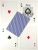 картинка Карты "Bee Gold Gravity Standard Index Red / Blue" магазин Gamesdealer.ru являющийся официальным дистрибьютором в России картинка Карты "Bee Gold Gravity Standard Index Red / Blue" от магазина Gamesdealer.ru