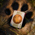 картинка Карты "Bicycle Disney Lion King Standard Index" магазин Gamesdealer.ru являющийся официальным дистрибьютором в России картинка Карты "Bicycle Disney Lion King Standard Index" от магазина Gamesdealer.ru