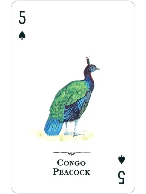 картинка Карты "Endangered Species of the Natural World Playing Cards" от магазина Gamesdealer.ru