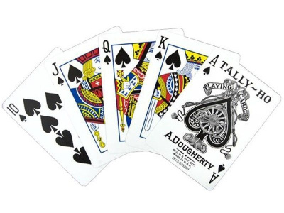 картинка Карты "Tally-Ho Standard Index red/blue Fan" от магазина Gamesdealer.ru