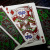 картинка Карты "Theory11 Teenage Mutant Ninja Turtles Playing Cards" магазин Gamesdealer.ru являющийся официальным дистрибьютором в России картинка Карты "Theory11 Teenage Mutant Ninja Turtles Playing Cards" от магазина Gamesdealer.ru