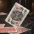 картинка Карты "Theory11 Harry Potter Deck - Red (Gryffindor)" магазин Gamesdealer.ru являющийся официальным дистрибьютором в России картинка Карты "Theory11 Harry Potter Deck - Red (Gryffindor)" от магазина Gamesdealer.ru