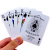 картинка Карты "Bicycle Aladdin Playing Cards red" магазин Gamesdealer.ru являющийся официальным дистрибьютором в России картинка Карты "Bicycle Aladdin Playing Cards red" от магазина Gamesdealer.ru
