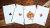 картинка Карты "Ellusionist Ignite" магазин Gamesdealer.ru являющийся официальным дистрибьютором в России картинка Карты "Ellusionist Ignite" от магазина Gamesdealer.ru