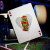 картинка Карты "Theory11 Teenage Mutant Ninja Turtles Playing Cards" магазин Gamesdealer.ru являющийся официальным дистрибьютором в России картинка Карты "Theory11 Teenage Mutant Ninja Turtles Playing Cards" от магазина Gamesdealer.ru