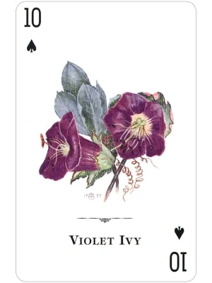 картинка Карты "Wildflowers of the Natural World Playing Cards" от магазина Gamesdealer.ru