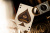 картинка Карты "Theory11 James Bond Playing Cards 007" магазин Gamesdealer.ru являющийся официальным дистрибьютором в России картинка Карты "Theory11 James Bond Playing Cards 007" от магазина Gamesdealer.ru