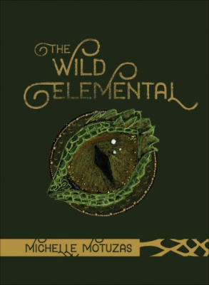 Карты таро "The Wild Elemental Oracle" RED Feather / Оракул Дикой Стихии